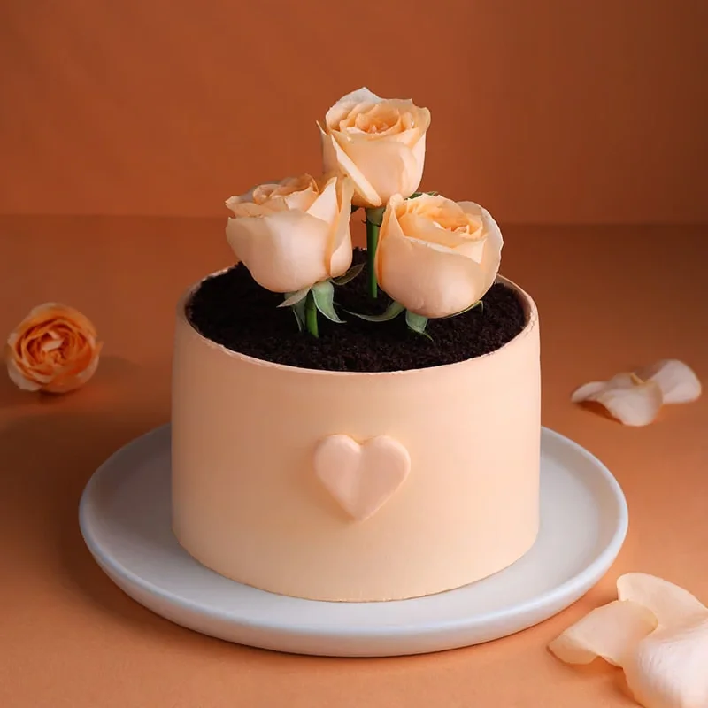Rose Topped Chocolate Cake Sweet