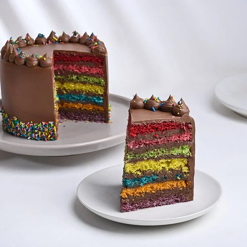 Sprinkled Rainbow Chocolate Cake Delice