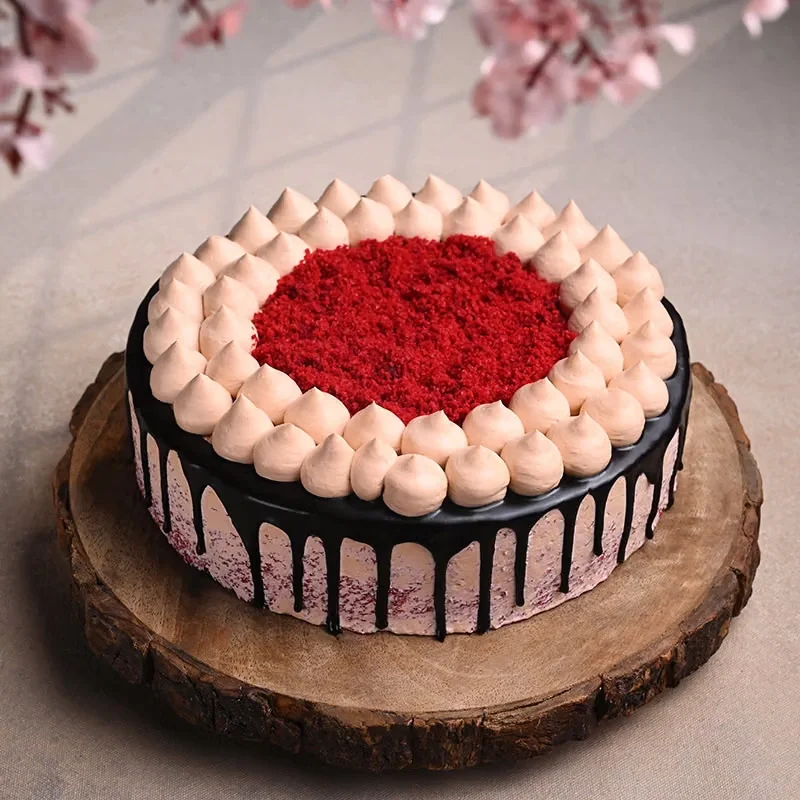 chocolatevelvetfusioncake9998500caA