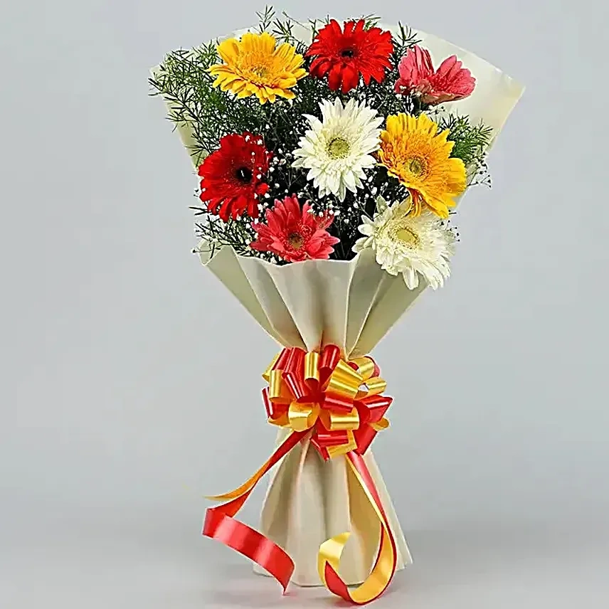 Gerberas