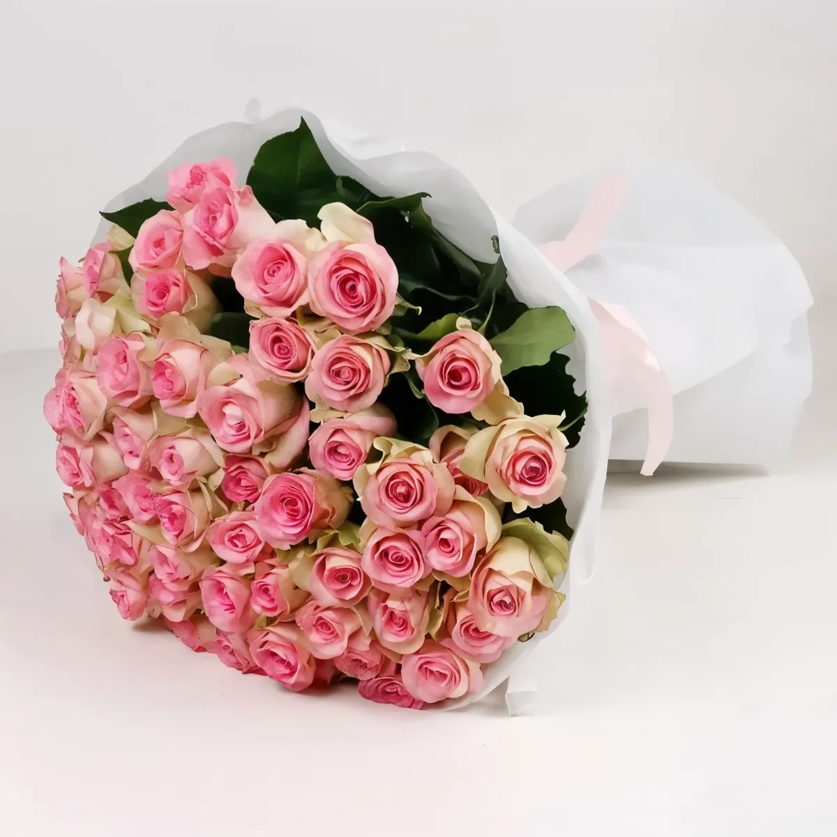 86a7ea62fbe44059be608b1e10224fd7