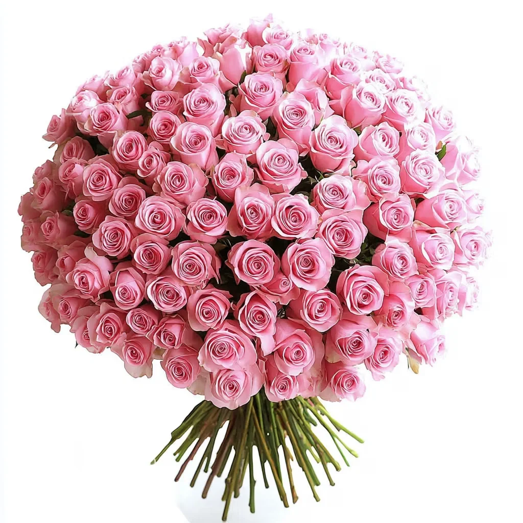 bunchof100pinkroses9750960flA 2