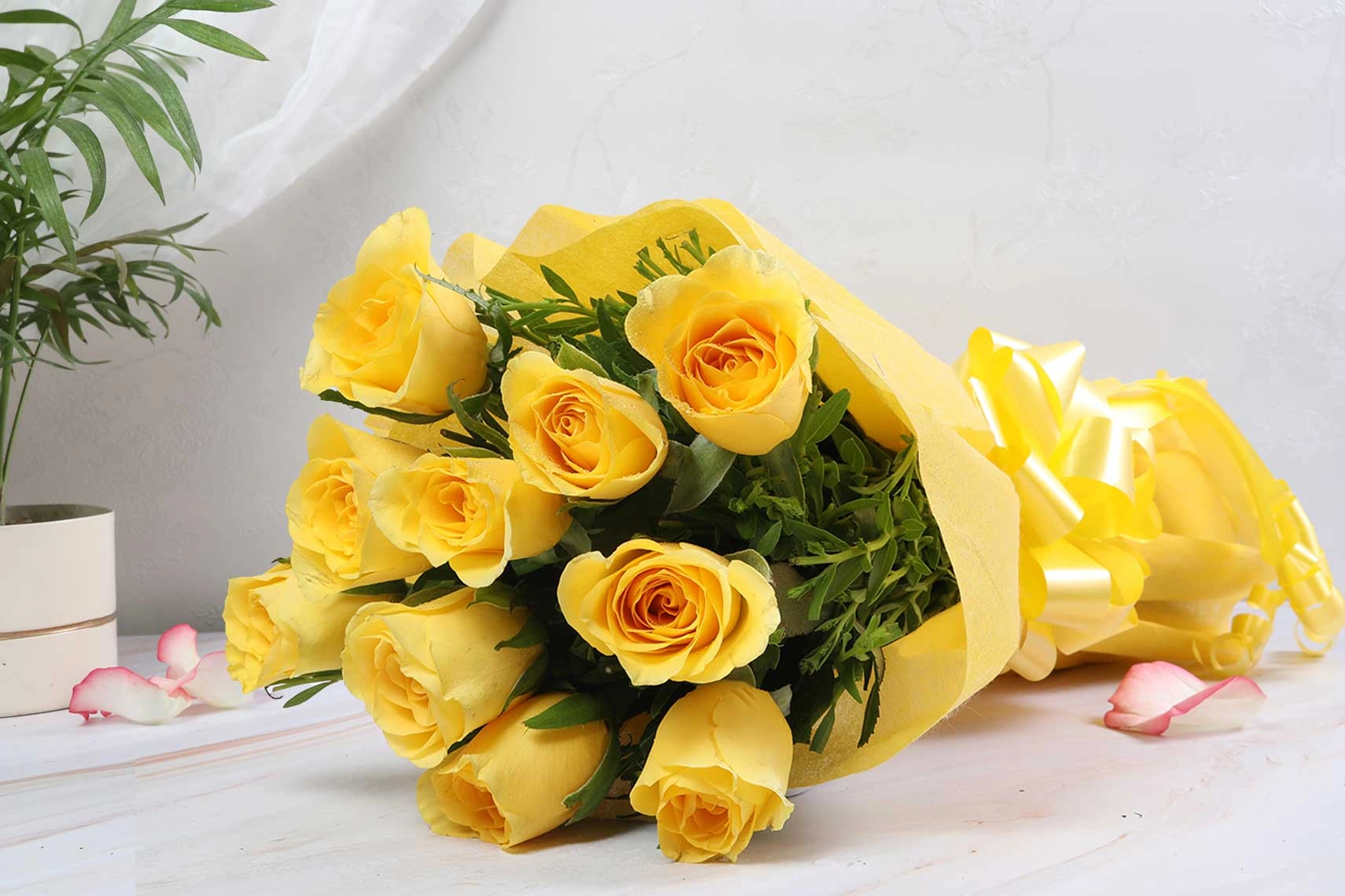 Yellow warming roses Flowers