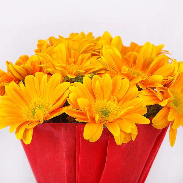 Happy Splashy Gerberas Bouquet 