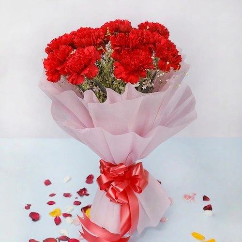 12 Red Carnations Bouquet 